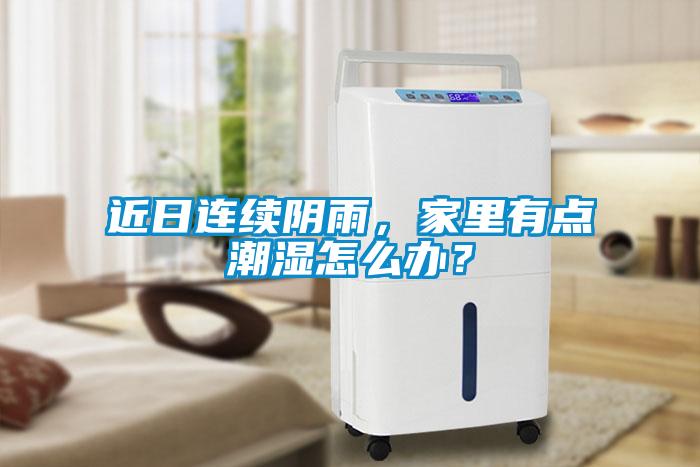 近日連續陰雨，家里有點潮濕怎么辦？