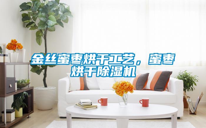 金絲蜜棗烘干工藝，蜜棗烘干除濕機