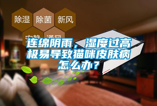 連綿陰雨，濕度過高極易導(dǎo)致貓咪皮膚病怎么辦？