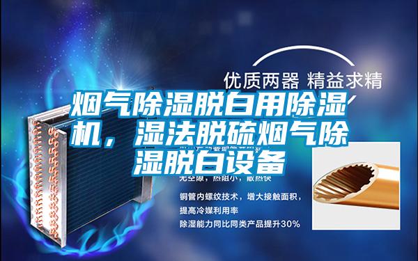 煙氣除濕脫白用除濕機(jī)，濕法脫硫煙氣除濕脫白設(shè)備