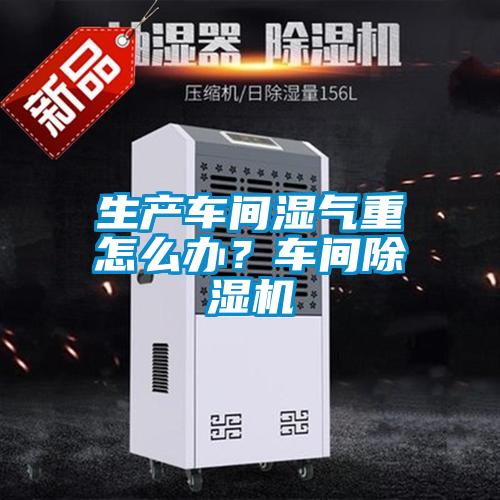 生產(chǎn)車間濕氣重怎么辦？車間除濕機