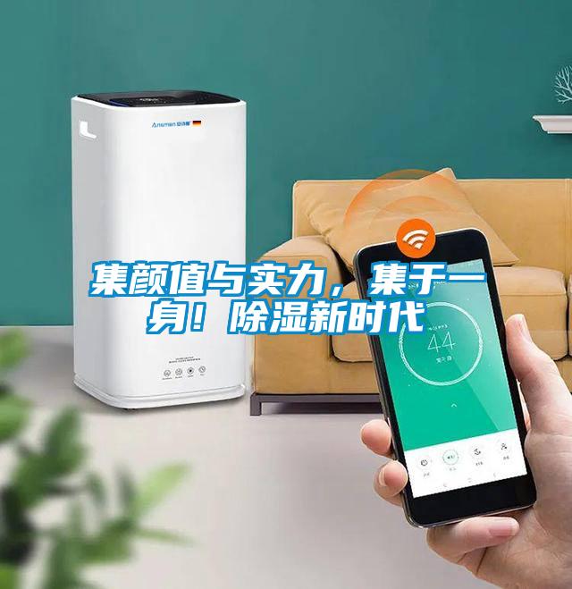 集顏值與實力，集于一身！除濕新時代