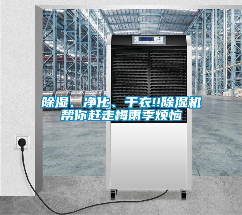 除濕、凈化、干衣!!除濕機幫你趕走梅雨季煩惱