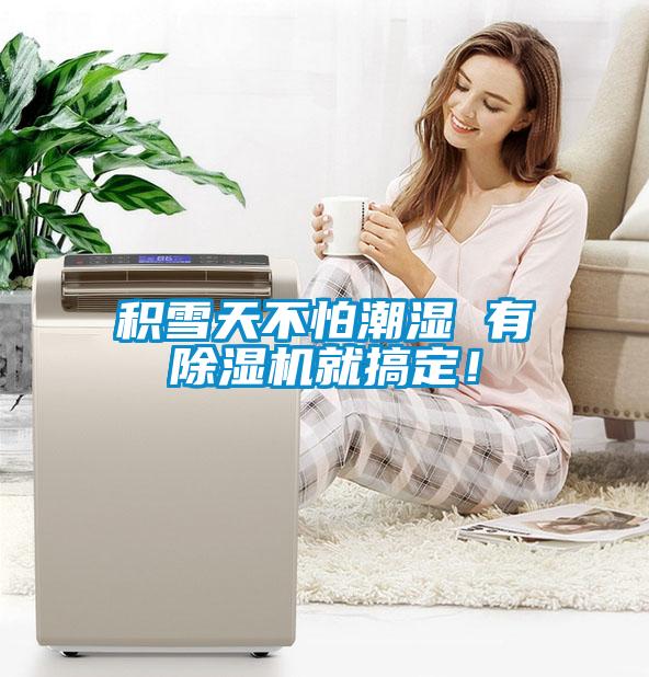 積雪天不怕潮濕 有除濕機(jī)就搞定！