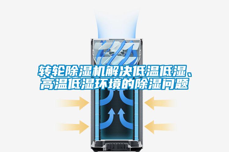 轉輪除濕機解決低溫低濕、高溫低濕環境的除濕問題