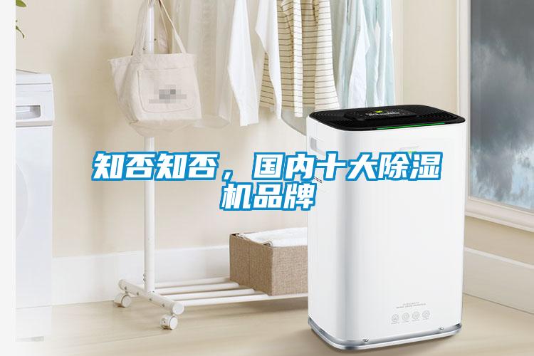知否知否，國(guó)內(nèi)十大除濕機(jī)品牌