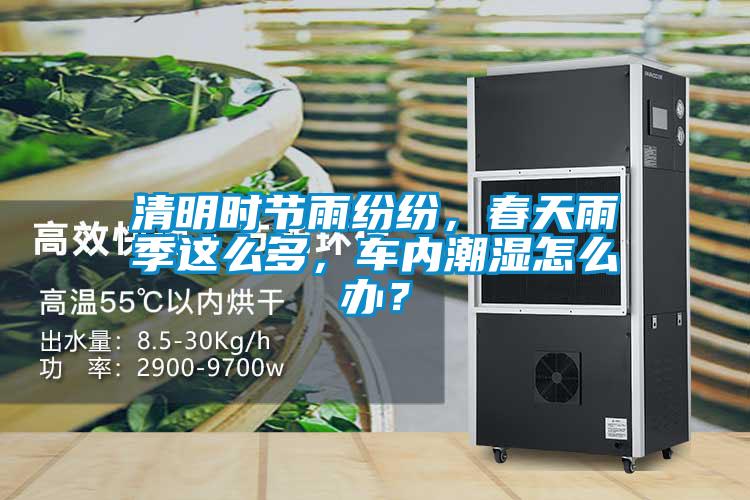 清明時節(jié)雨紛紛，春天雨季這么多，車內(nèi)潮濕怎么辦？