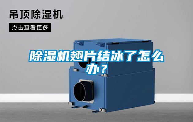 除濕機(jī)翅片結(jié)冰了怎么辦？