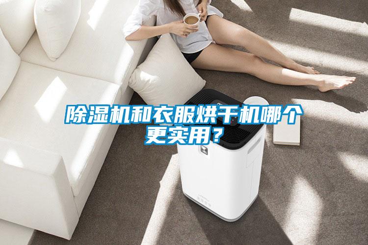 除濕機(jī)和衣服烘干機(jī)哪個(gè)更實(shí)用？