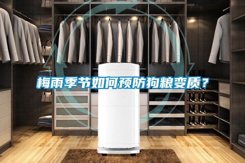 梅雨季節(jié)如何預(yù)防狗糧變質(zhì)？