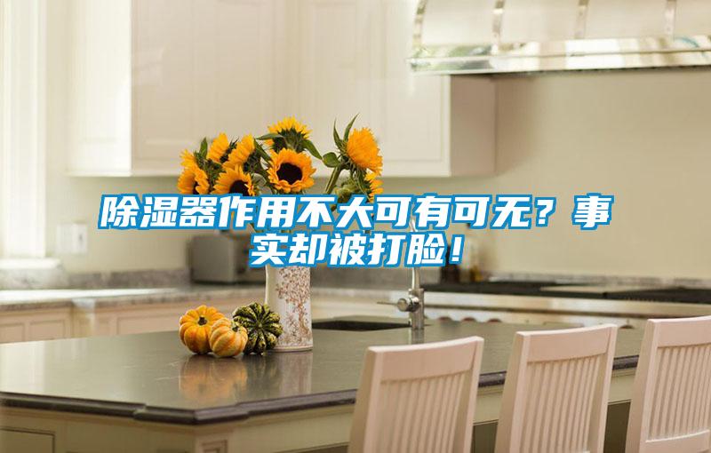 除濕器作用不大可有可無？事實卻被打臉！