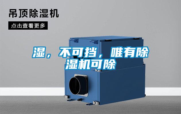濕，不可擋，唯有除濕機(jī)可除