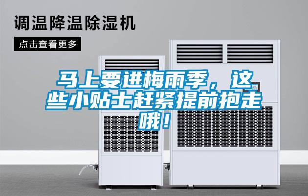 馬上要進(jìn)梅雨季，這些小貼士趕緊提前抱走哦！