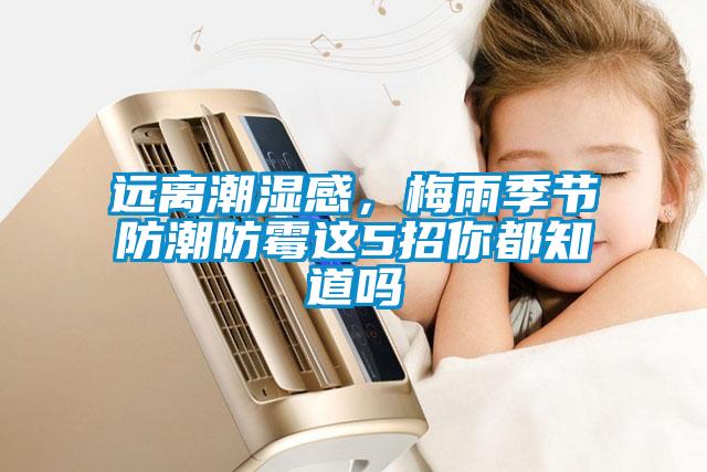 遠(yuǎn)離潮濕感，梅雨季節(jié)防潮防霉這5招你都知道嗎