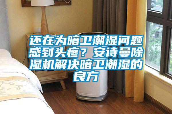還在為暗衛潮濕問題感到頭疼？安詩曼除濕機解決暗衛潮濕的良方
