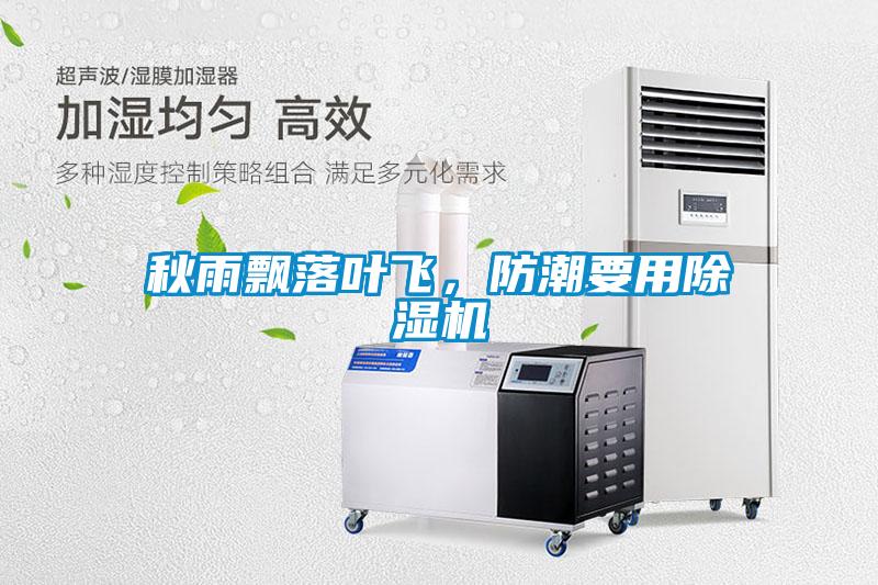 秋雨飄落葉飛，防潮要用除濕機(jī)