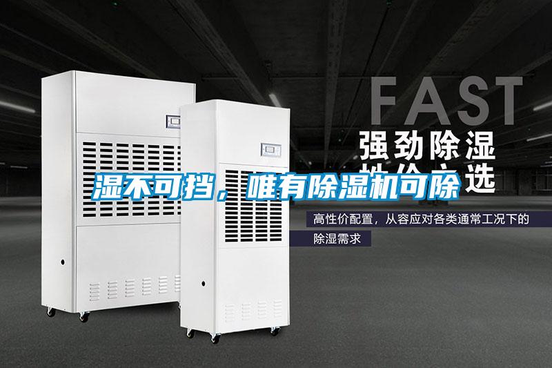 濕不可擋，唯有除濕機(jī)可除