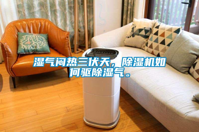 濕氣悶熱三伏天，除濕機(jī)如何驅(qū)除濕氣。