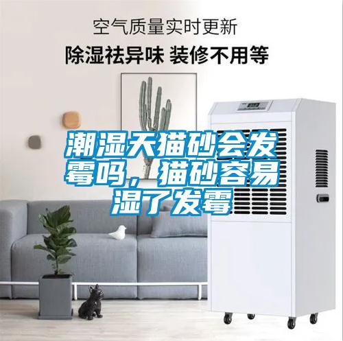 潮濕天貓砂會發(fā)霉嗎，貓砂容易濕了發(fā)霉