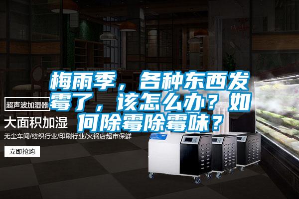 梅雨季，各種東西發(fā)霉了，該怎么辦？如何除霉除霉味？