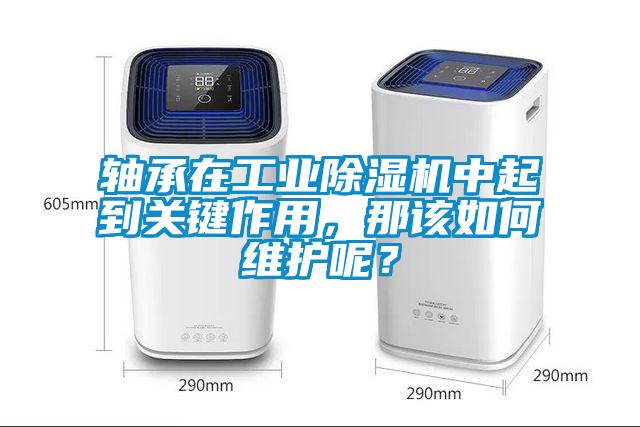 軸承在工業(yè)除濕機(jī)中起到關(guān)鍵作用，那該如何維護(hù)呢？