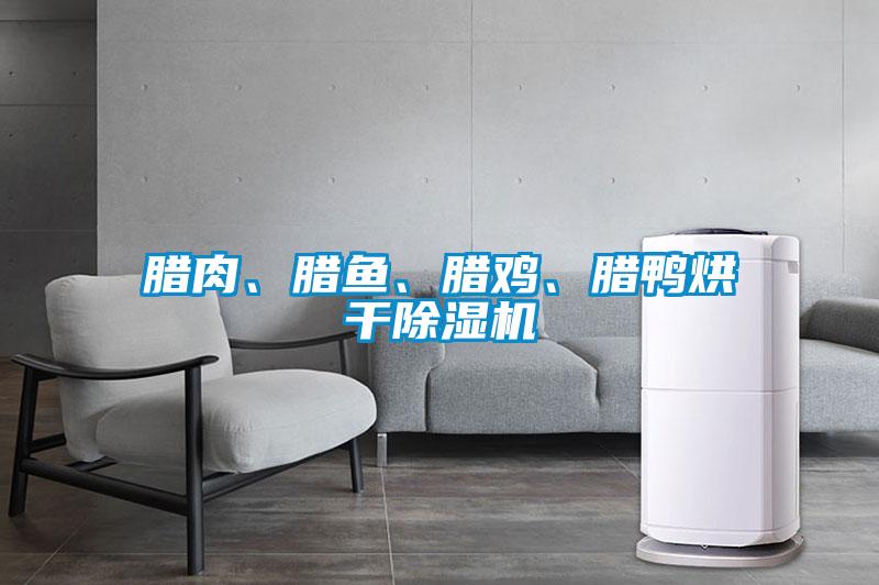 臘肉、臘魚(yú)、臘雞、臘鴨烘干除濕機(jī)