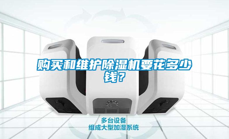 購(gòu)買(mǎi)和維護(hù)除濕機(jī)要花多少錢(qián)？