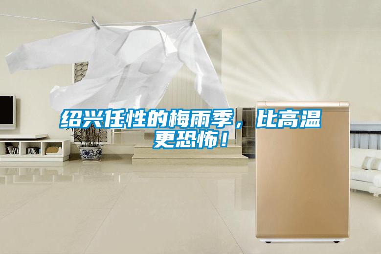 紹興任性的梅雨季，比高溫更恐怖！