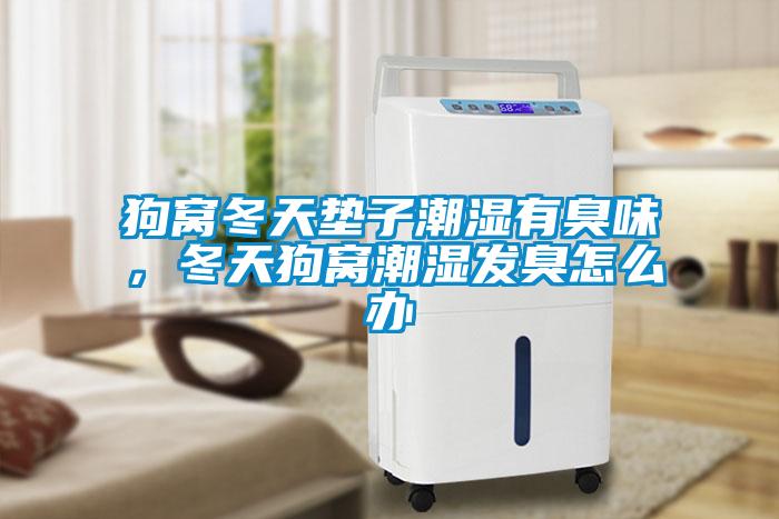 狗窩冬天墊子潮濕有臭味，冬天狗窩潮濕發臭怎么辦