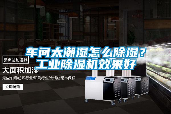 車間太潮濕怎么除濕？工業(yè)除濕機(jī)效果好