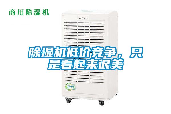 除濕機(jī)低價(jià)競爭，只是看起來很美