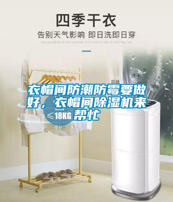 衣帽間防潮防霉要做好，衣帽間除濕機來幫忙