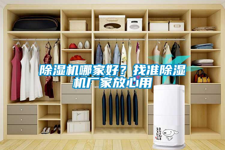 除濕機(jī)哪家好？找準(zhǔn)除濕機(jī)廠家放心用