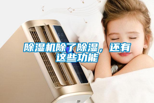 除濕機(jī)除了除濕，還有這些功能