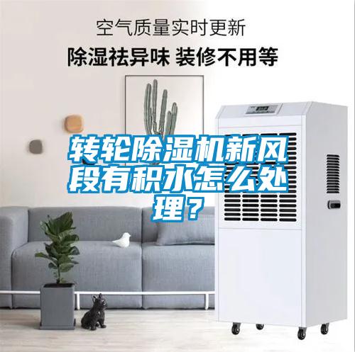 轉輪除濕機新風段有積水怎么處理？