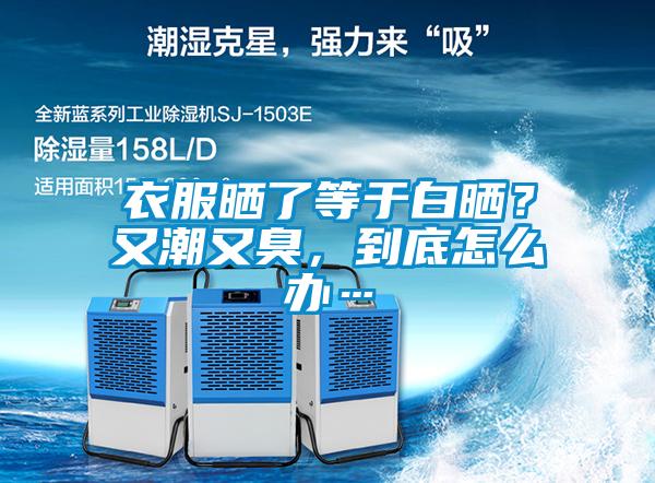 衣服曬了等于白曬？又潮又臭，到底怎么辦…
