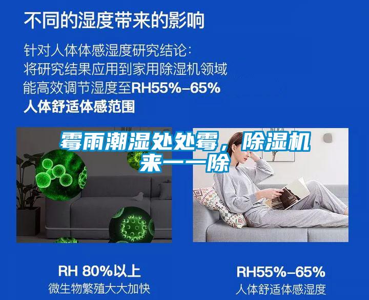 霉雨潮濕處處霉，除濕機來一一除