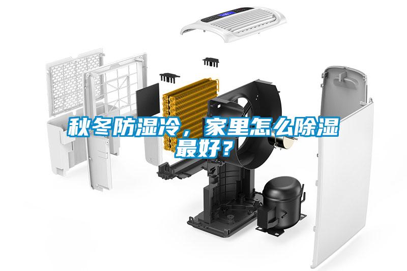 秋冬防濕冷，家里怎么除濕最好？