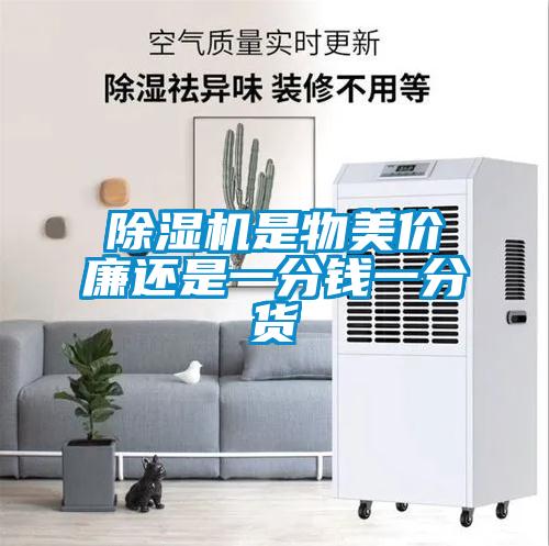除濕機(jī)是物美價廉還是一分錢一分貨