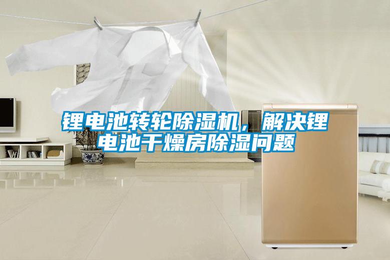 鋰電池轉(zhuǎn)輪除濕機(jī)，解決鋰電池干燥房除濕問題