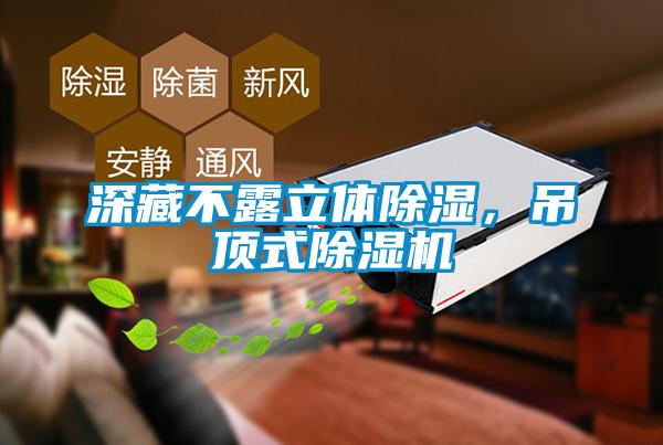 深藏不露立體除濕，吊頂式除濕機(jī)