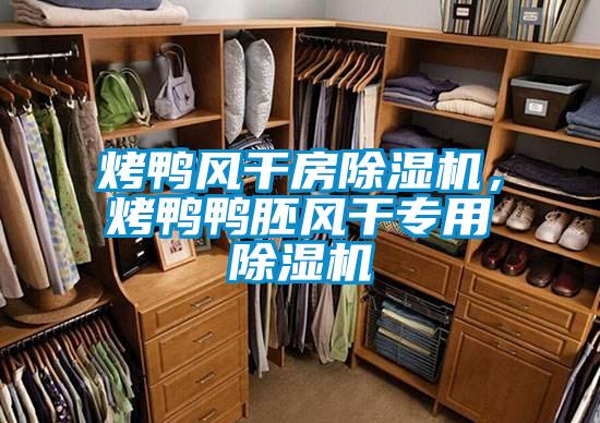 烤鴨風(fēng)干房除濕機(jī)，烤鴨鴨胚風(fēng)干專用除濕機(jī)