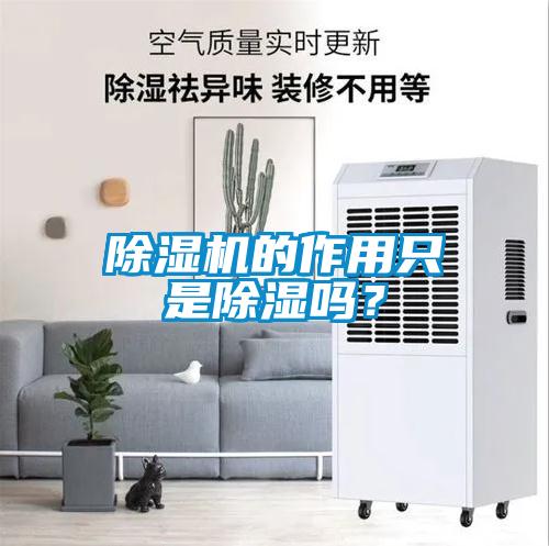 除濕機(jī)的作用只是除濕嗎？