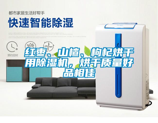 紅棗、山楂、枸杞烘干用除濕機，烘干質量好品相佳