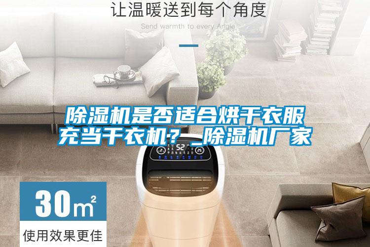 除濕機是否適合烘干衣服充當干衣機？_除濕機廠家