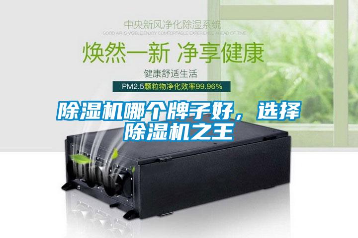 除濕機哪個牌子好，選擇除濕機之王