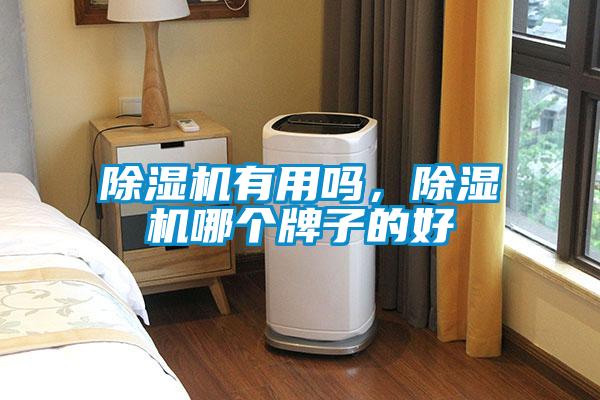除濕機有用嗎，除濕機哪個牌子的好