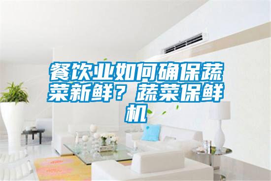 餐飲業(yè)如何確保蔬菜新鮮？蔬菜保鮮機(jī)
