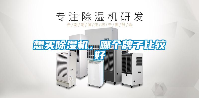 想買(mǎi)除濕機(jī)，哪個(gè)牌子比較好
