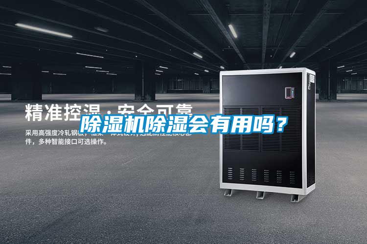 除濕機除濕會有用嗎？